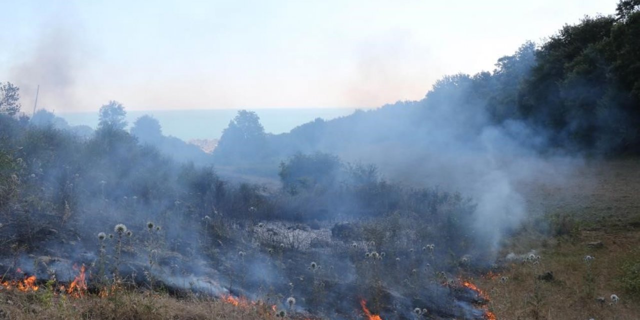 Orman yangınlarına anında müdahale
