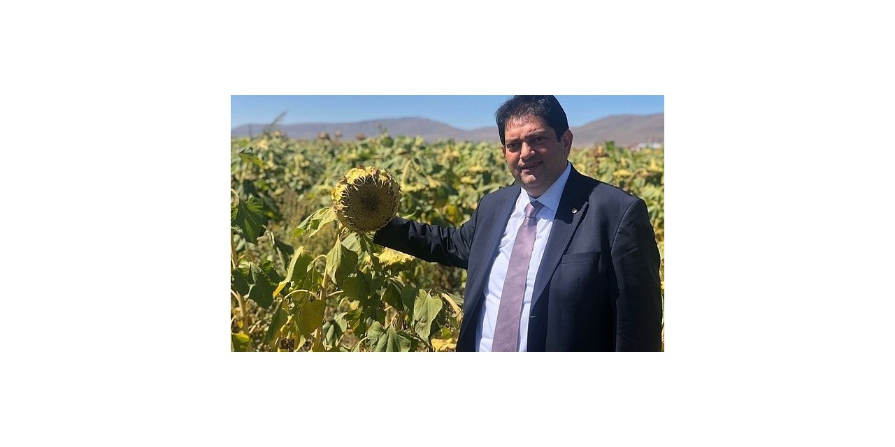 Oral; Hasat çiftçimizin bayramıdır