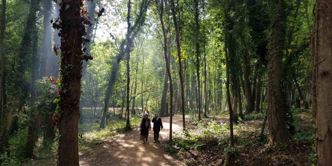 Başiskele’nin yeşil alanları "nefes" oldu