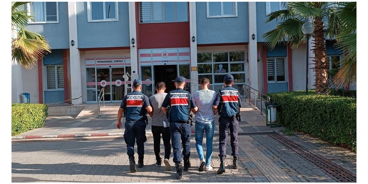 Zeytinyağı hırsızları, kıskıvrak yakalandı