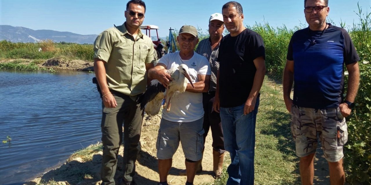 Zifte bulanan leylek kurtarıldı