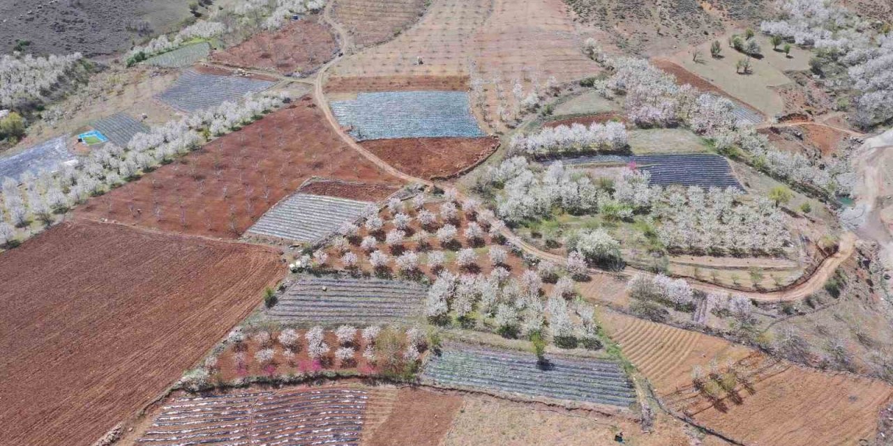 Adana Büyükşehir’den üreticiye destek