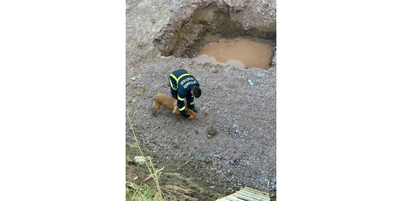 Yalova’da inşaat temeline düşen köpeği itfaiye kurtardı