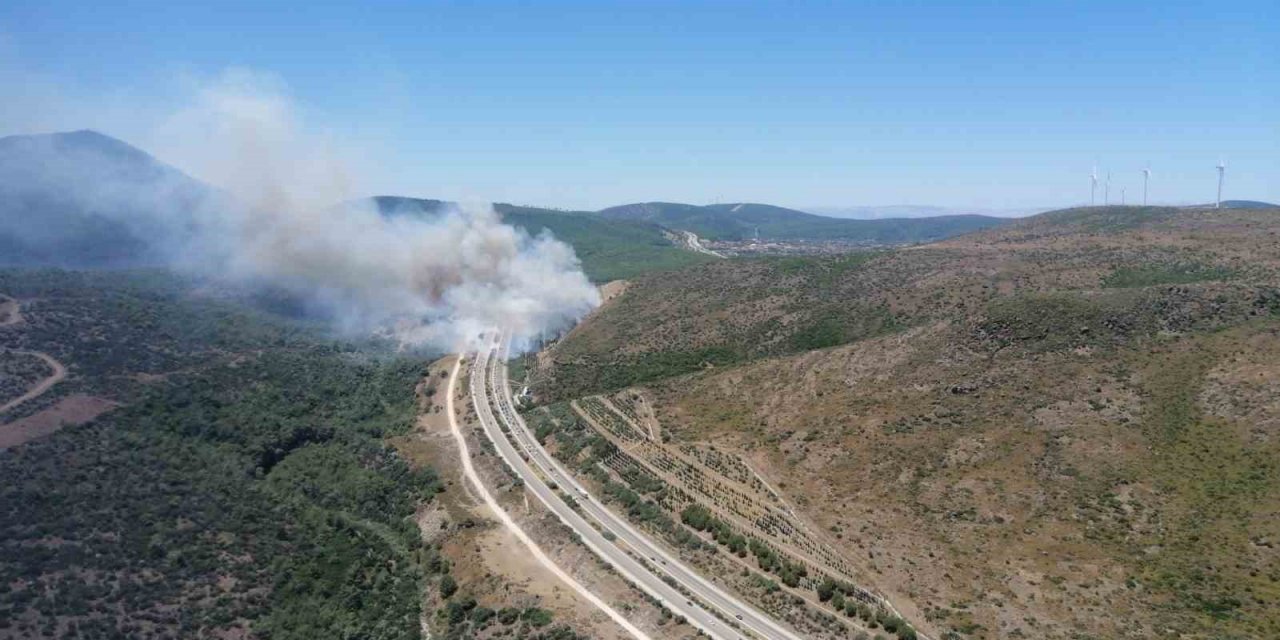 İzmir’deki yangınlardan iyi haber