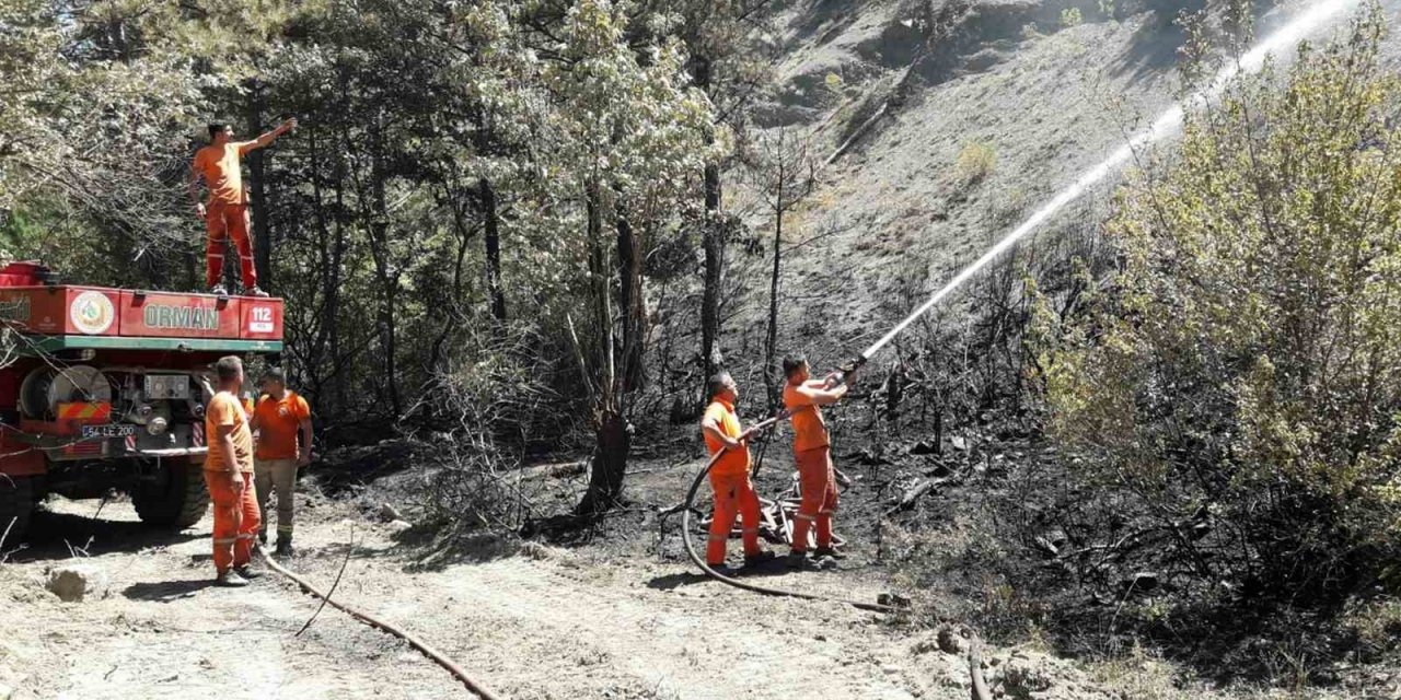 Taraklı’da çıkan orman yangınında soğutma çalışması sürüyor