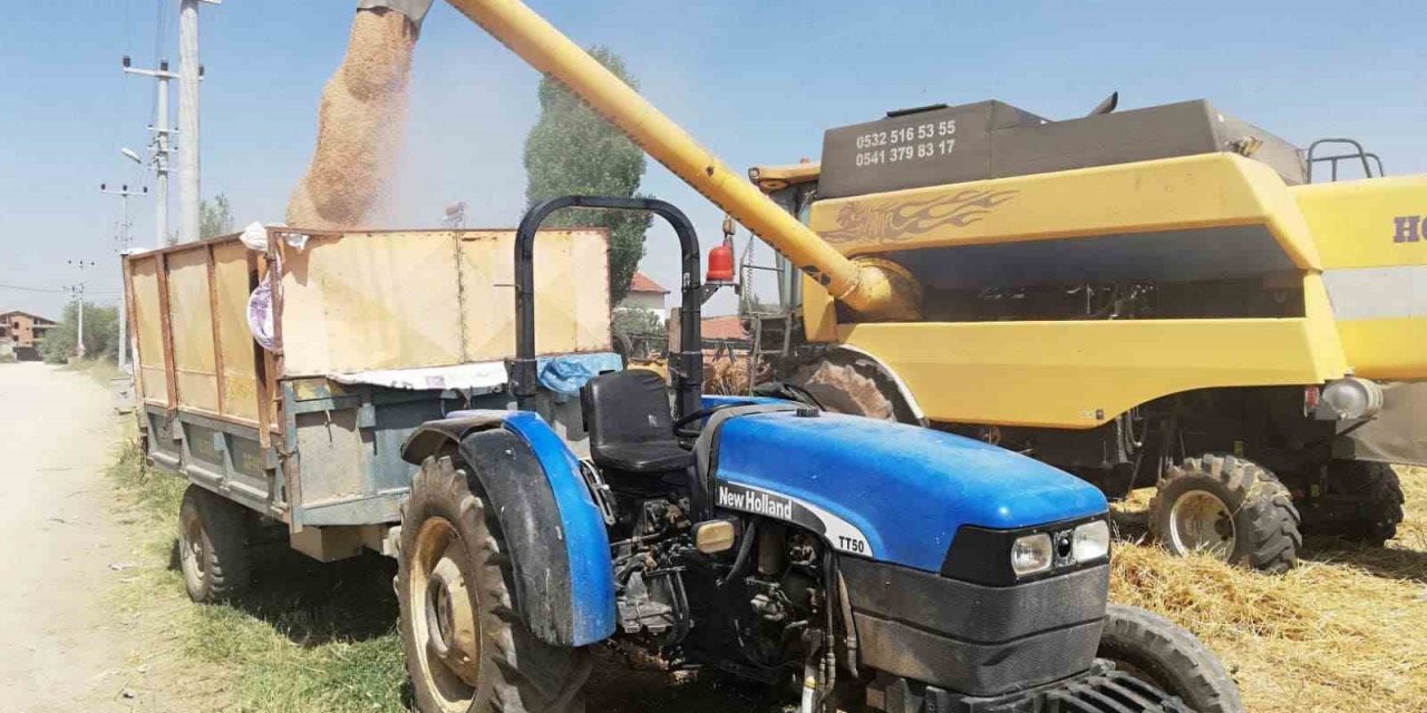 Reis buğday çeşidinin hasan kontrolü yapıldı