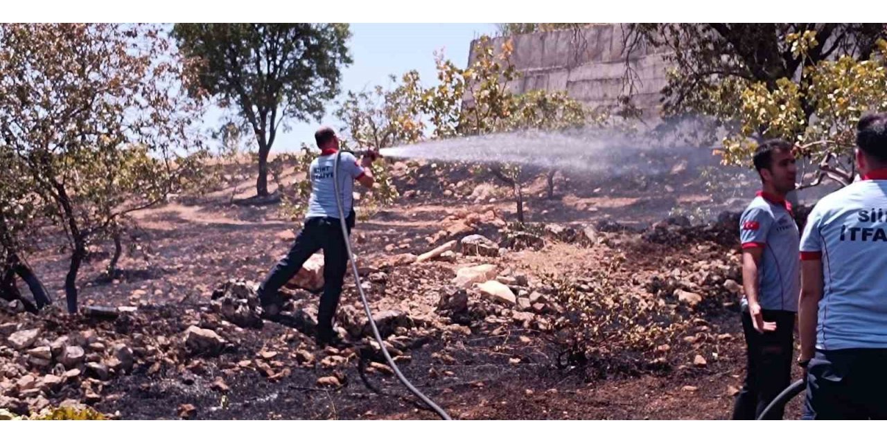 Siirt’te çiftçinin onca yıllık emeği küle döndü