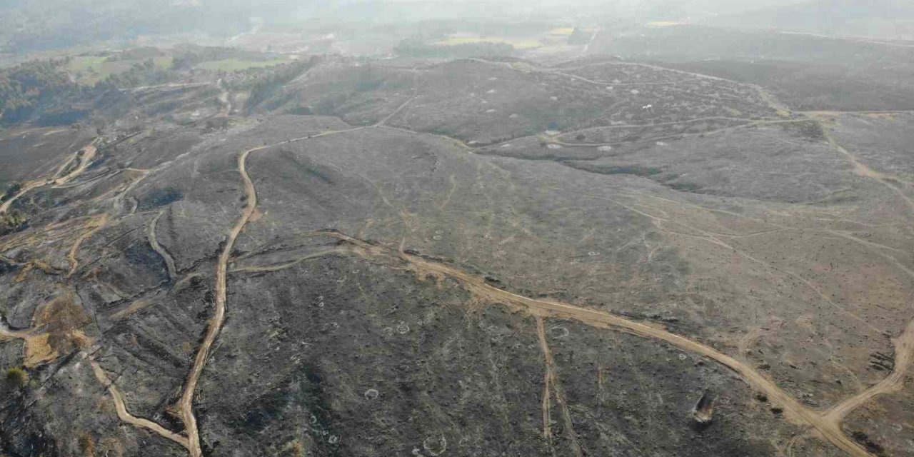Çanakkale’deki orman yangınlarında 3 bin 500 futbol sahası büyüklüğünde alan yandı