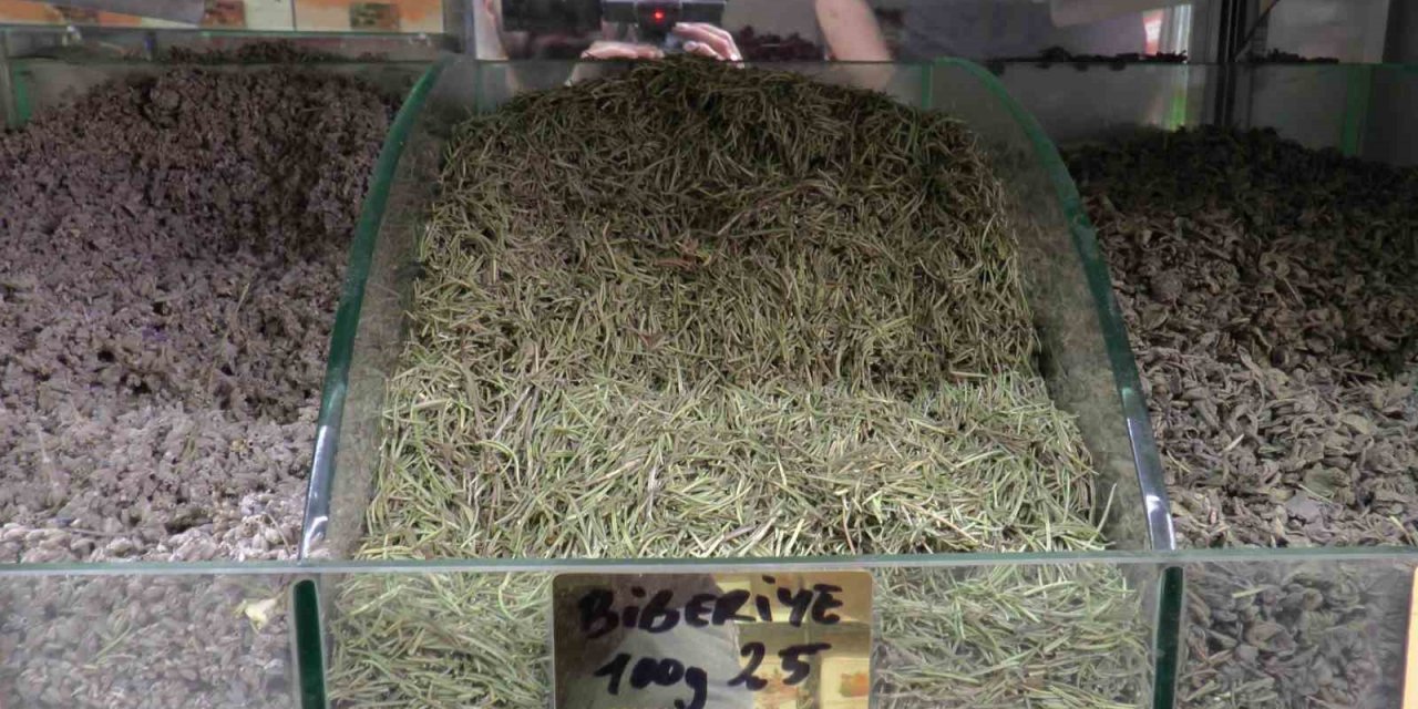 Terlemeye karşı bitkisel çözüm: Şeb taşı