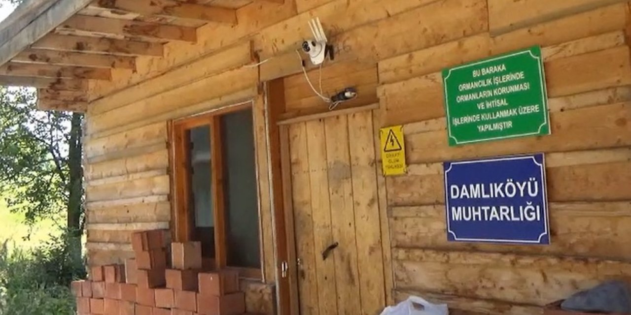 Ayı saldırılarından bıkan muhtar çareyi harekete duyarlı kamera sistemi kurmakta buldu