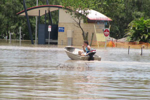 Selzedeler yılan-timsah tehdidi altında