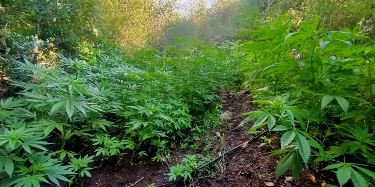 Kırkağaç’ta uyuşturucu operasyonu