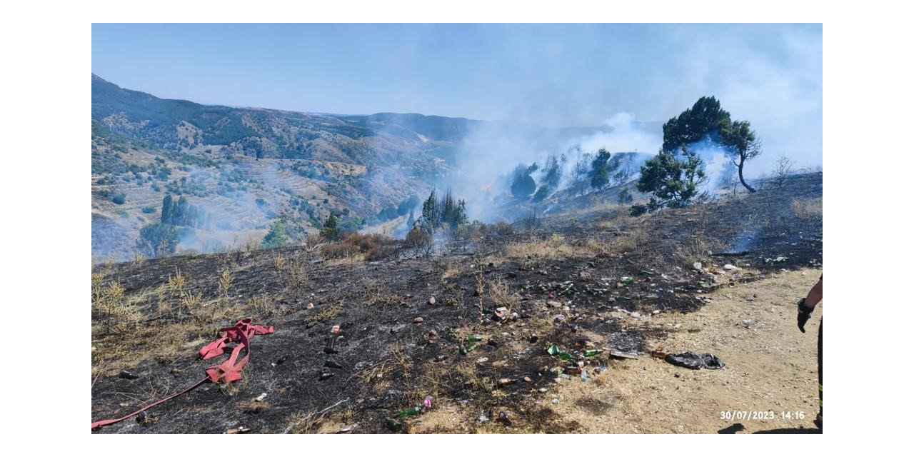 Bilecik’te çıkan orman yangını büyümeden söndürüldü