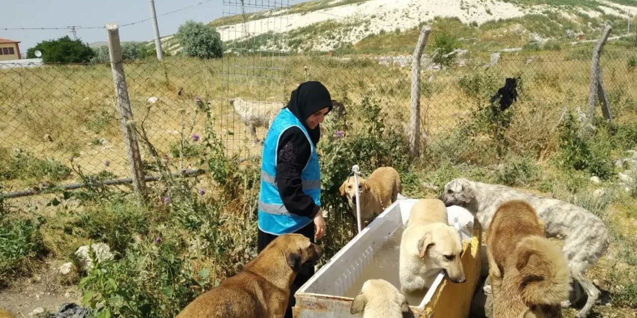 Müftülük personelleri sıcak havada sokak hayvanlarını unutmadı