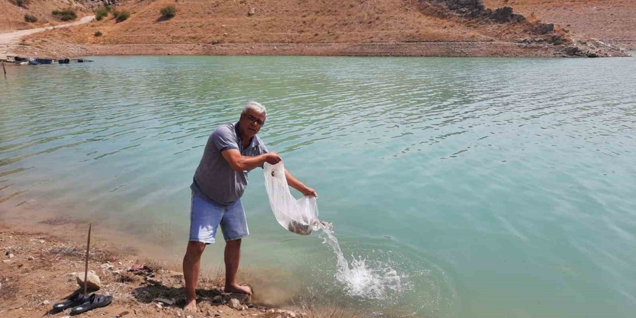 Korkuteli göletlerine 83 bin adet sazan yavrusu bırakıldı