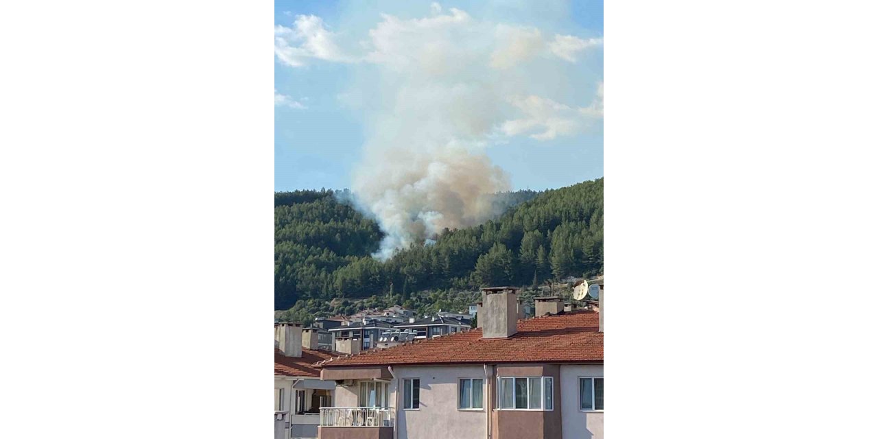 Muğla’da orman yangını