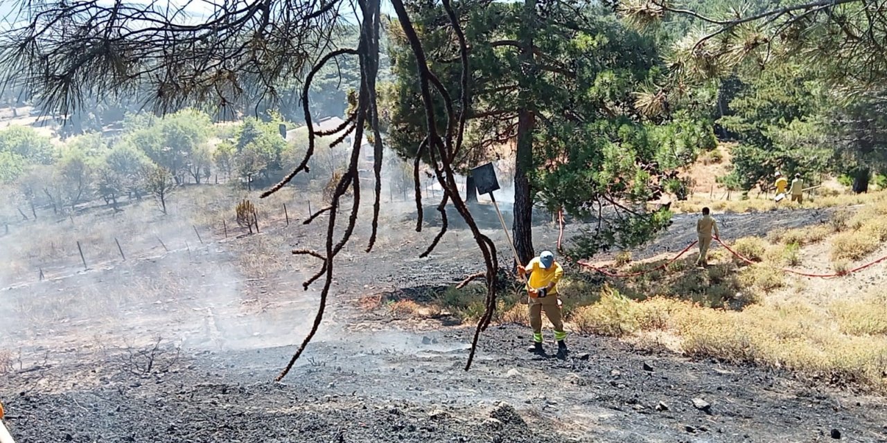 Kazdağları’ndaki örtü yangını ormana sıçramadan söndürüldü