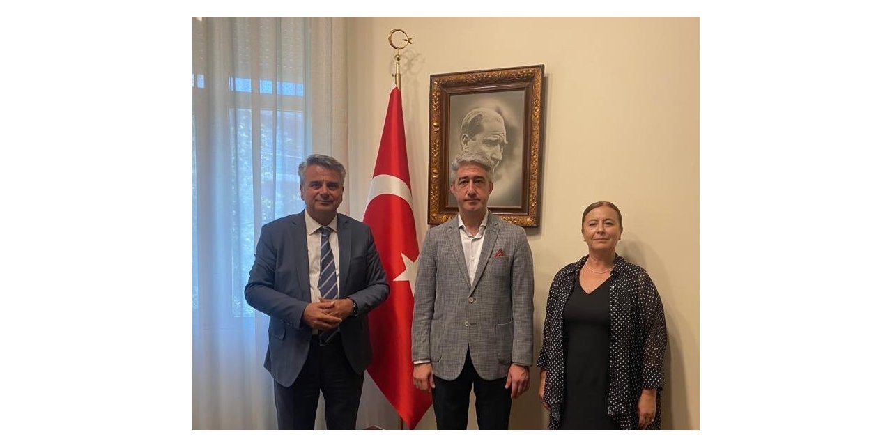 Başkan Oktay: "Acınızı paylaşıyoruz"