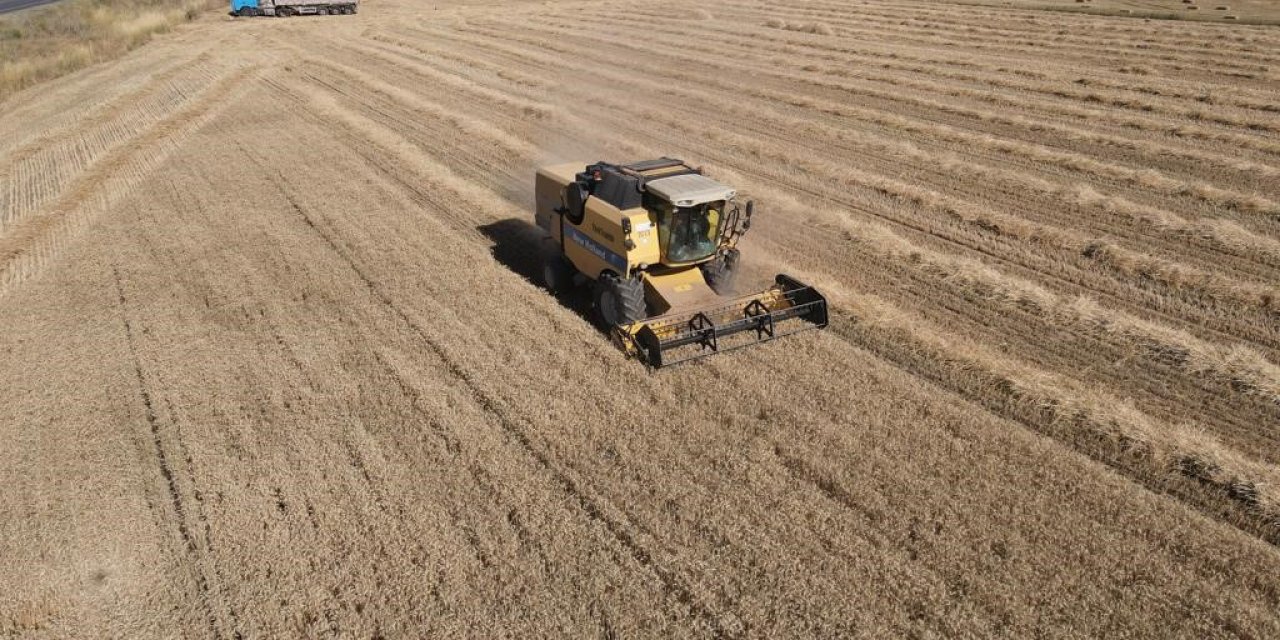Tomarza’da hububat hasat zamanı başladı