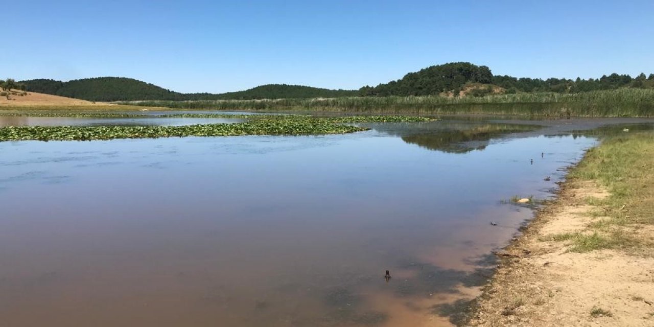 Doğa harikası göl, alkol şişeleriyle katledildi