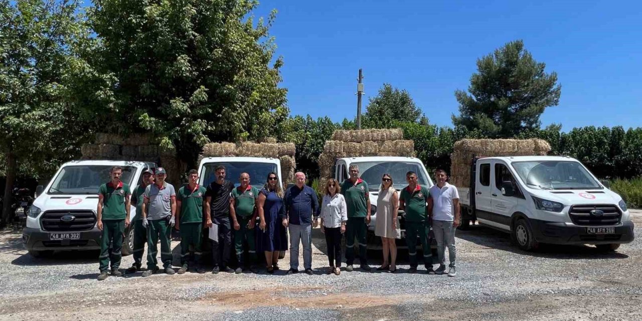 Menteşe Belediyesi’nden üreticilere saman balyası desteği