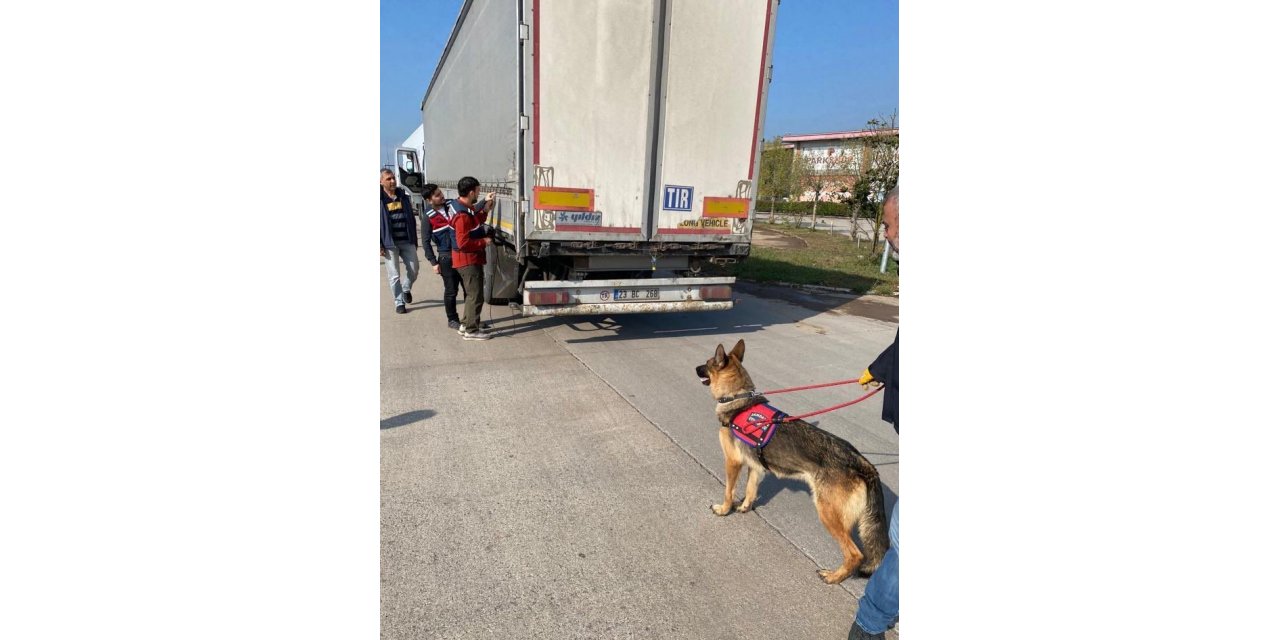 Bakan Yerlikaya duyurdu: Sakarya ve Hatay’da 39 göçmen kaçakçısı organizatör yakalandı