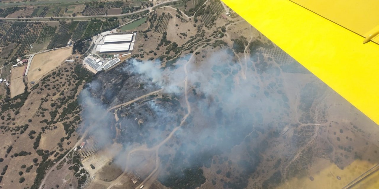 İzmir Menemen’de orman yangını