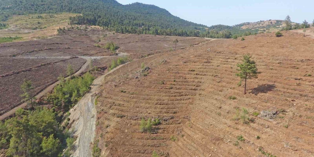 Yeşil Vatan toprakları nakış nakış işleniyor