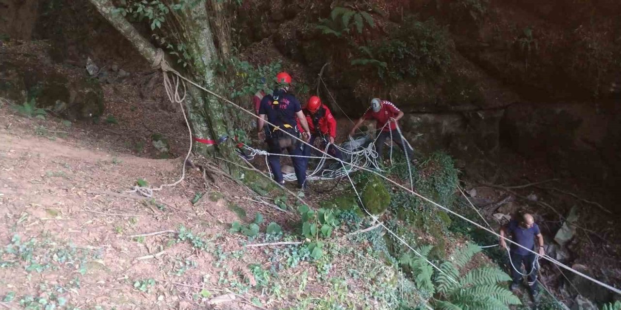 Mağaraya düşen danayı itfaiye kurtardı