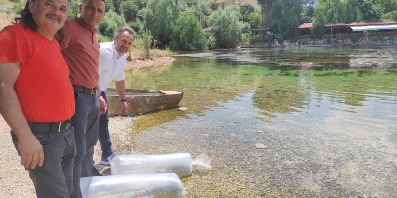 Dinar’da 100 bin balık göletlere bırakıldı
