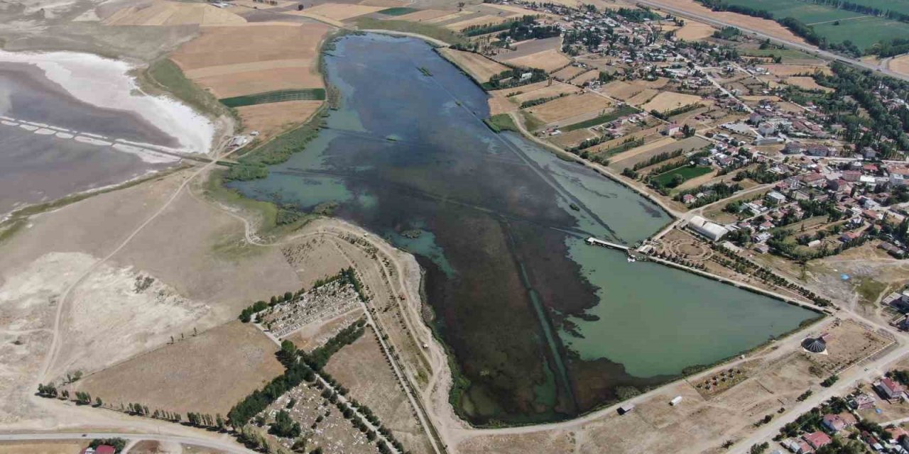 Sivas’ta ilginç doğa olayı, göl yosunla kaplandı