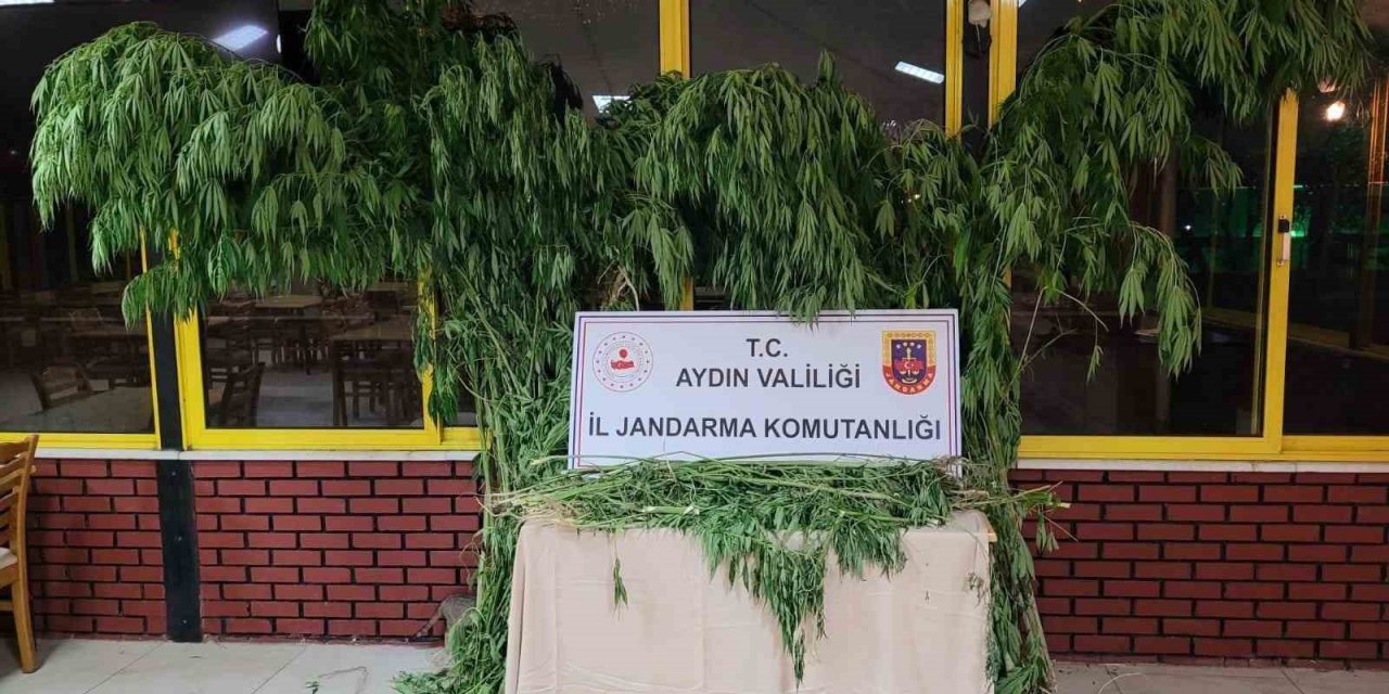 Köşk’te uyuşturucu operasyonu