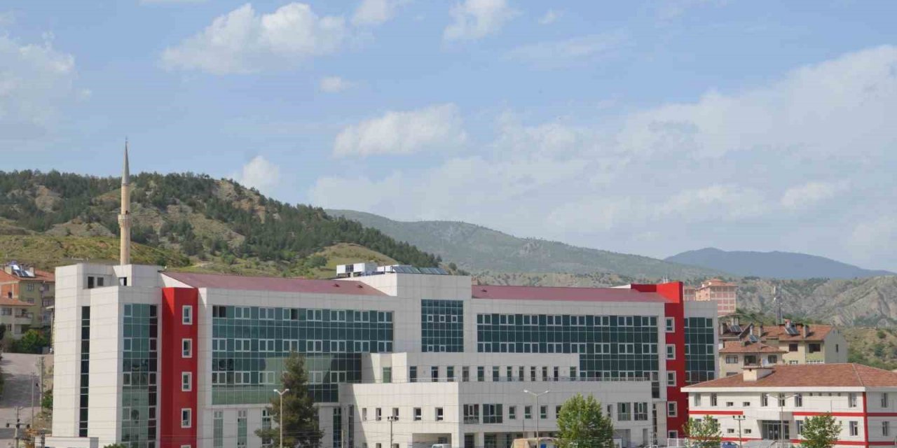 Tosya’da son iki ayda 80 kişi kene ısırması sebebiyle hastaneye müracaat etti