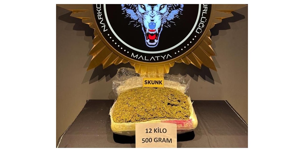 Yolcu otobüsünde 12,5 kilo skunk ele geçirildi