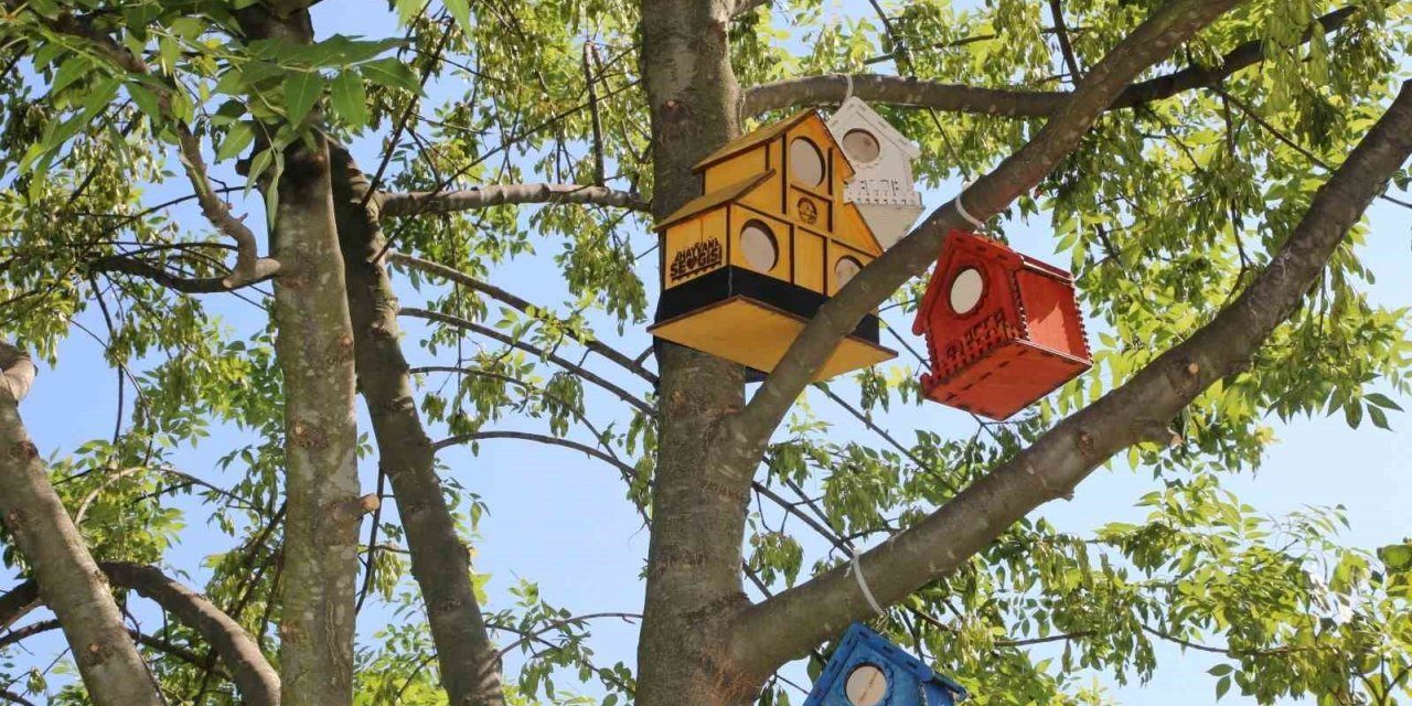 Serdivan’ın parklarını kedi ve kuş evleri süslüyor