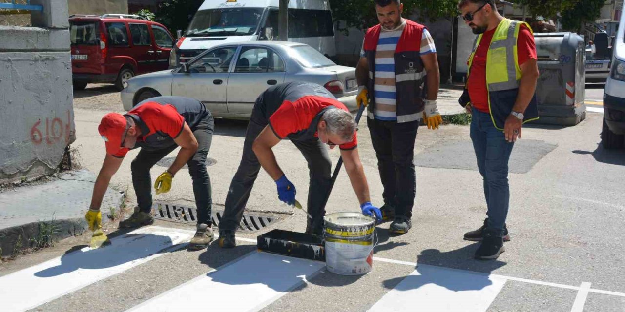 Ordu’da yaya geçitleri ve kasisler yeniden boyandı