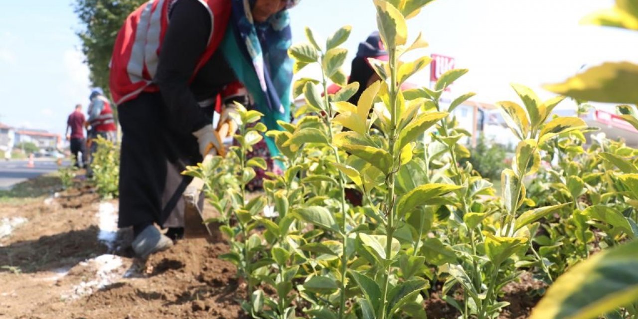 Düzce yollarında rengarenk manzara
