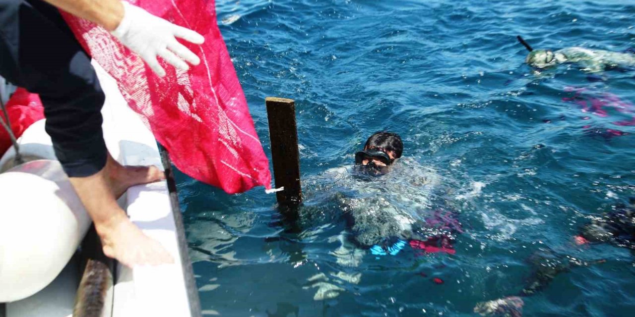 Denizin dibinden çıkanlar şok etti