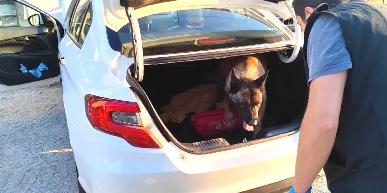 Narkotik köpeği otomobilin bagajındaki uyuşturucuyu buldu