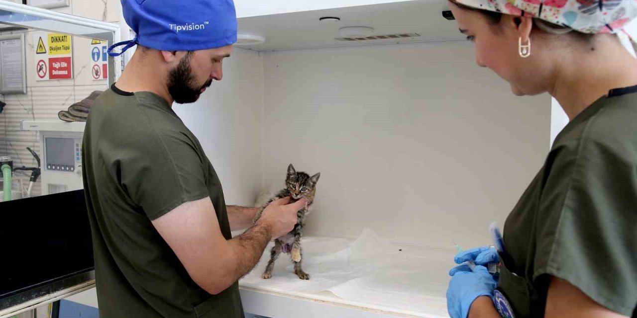 Bu merkezde her gün yüzlerce can dostu şifa buluyor