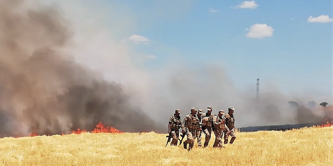 Mardin ve Şanlıurfa’da elektrik dağıtım şirketi personeline saldırı:  Görevlilerin bulunduğu tarla yakıldı