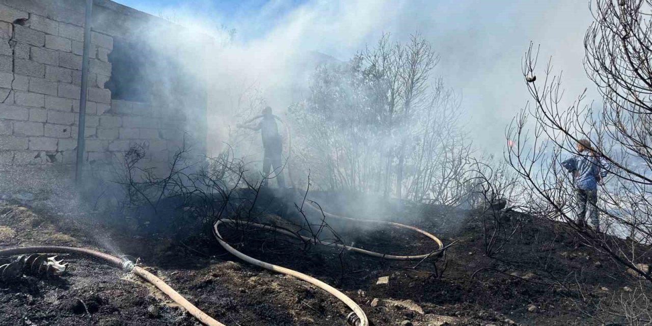Hatay’da zeytinlik ve çalılık alanda çıkan yangın kontrol altına alındı