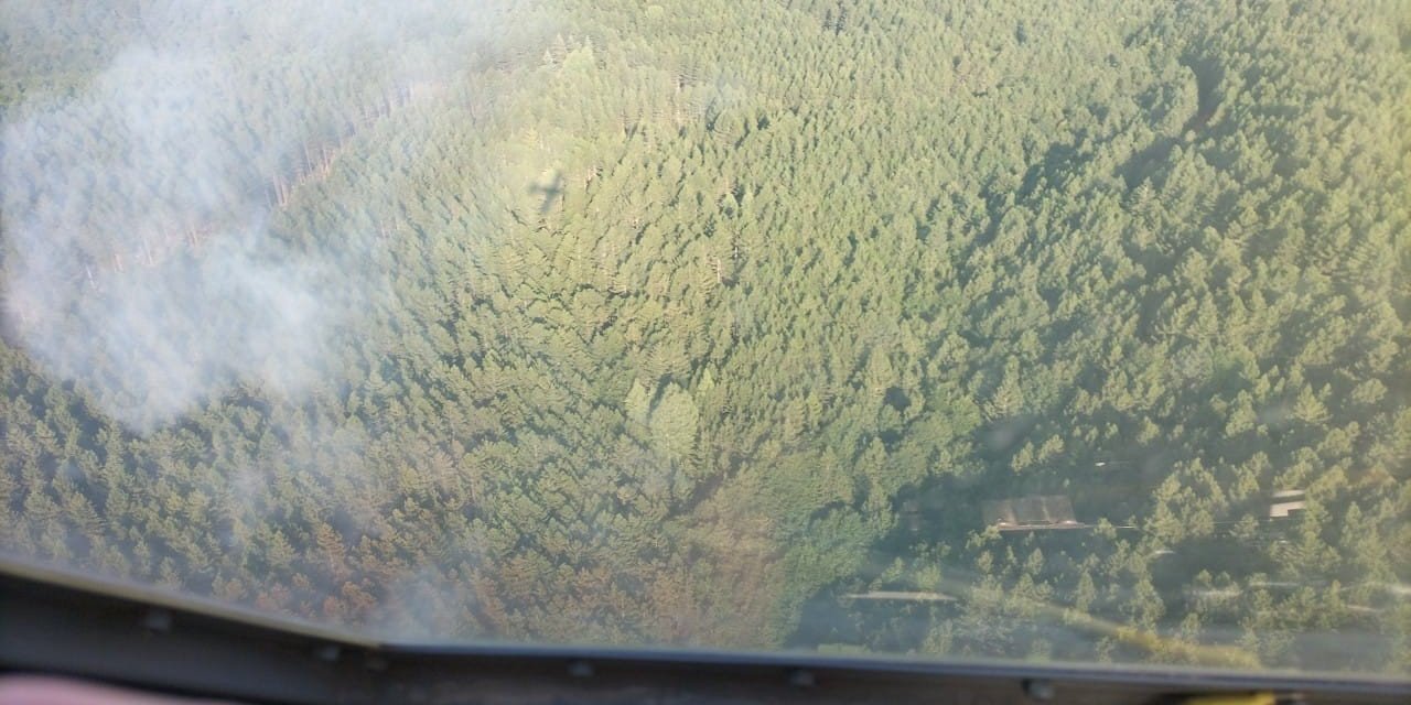 Bayramiç’te orman yangını kontrol altına alındı