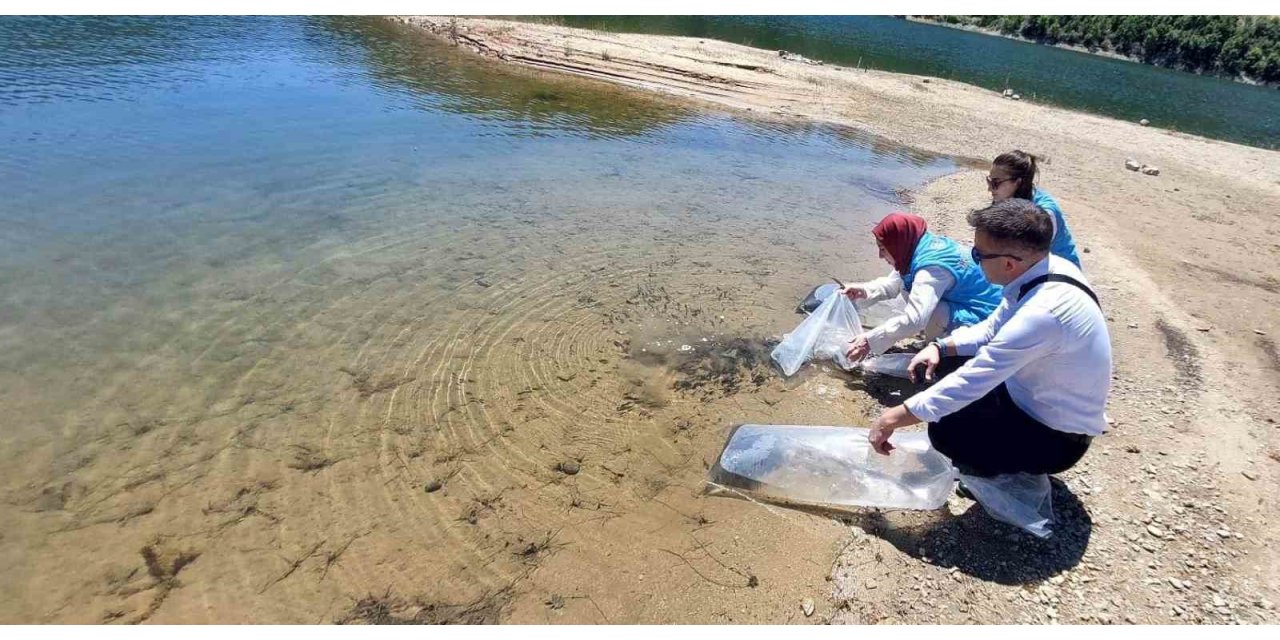 Hisarcık’ta baraj ve göletlere 60 bin yavru sazan balığı bırakıldı