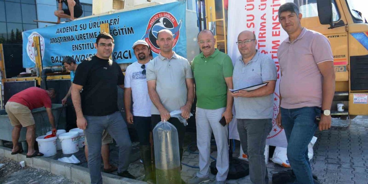 Kütahya’da su kaynaklarına 1 milyon yavru sazan balığı bırakıldı
