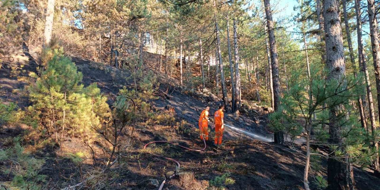Örtü altı yangınında 2,5 dönüm alan zarar gördü