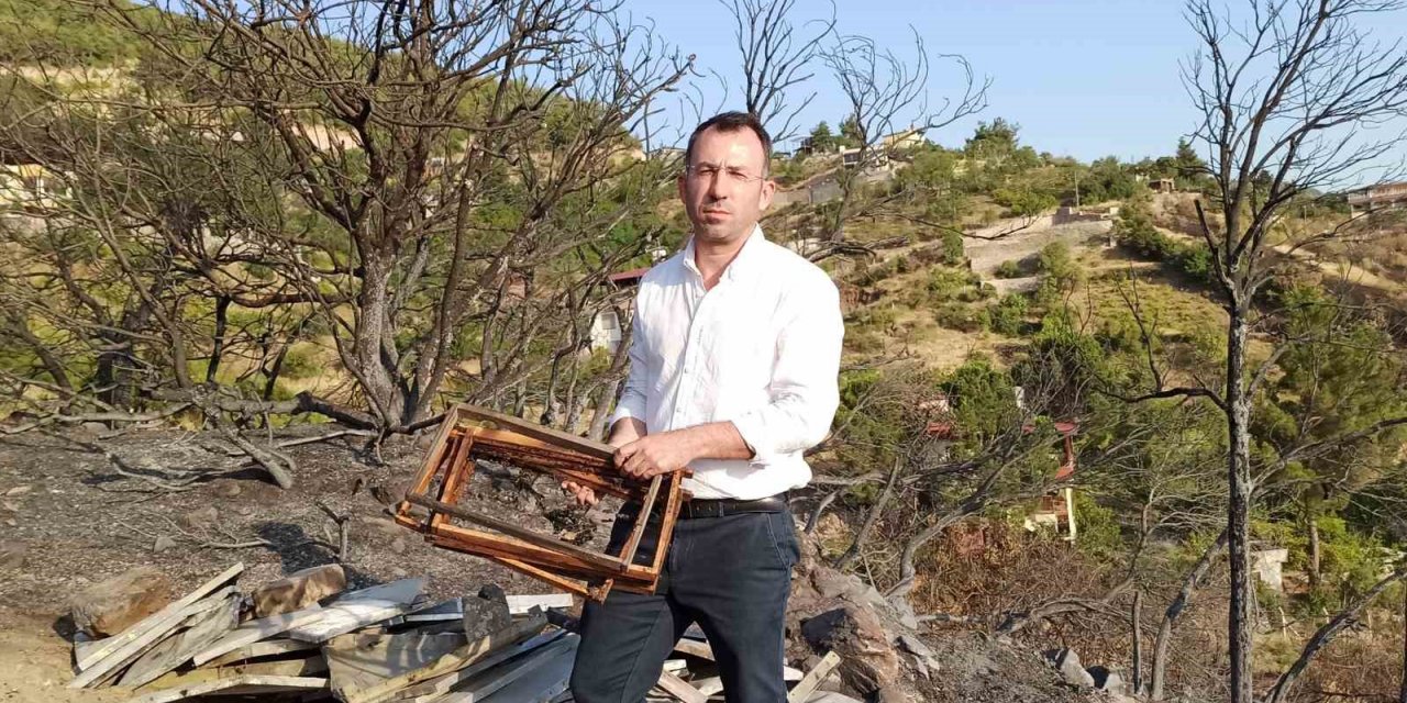 Orman yangını, 10 yıllık emeği yaktı binlerce arısı telef oldu
