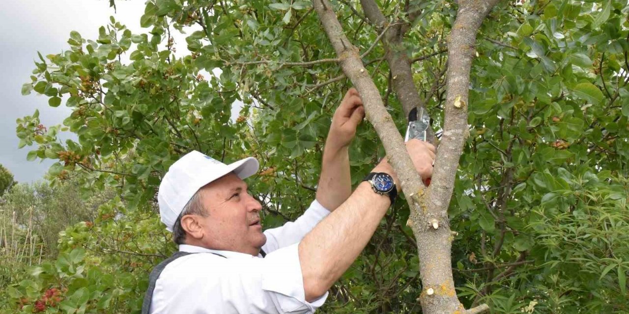 Yunusemre aşılamada hız kesmiyor