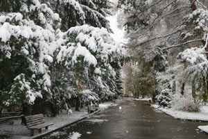 Hava sıcaklığı - 45 dereceye kadar düşecek!