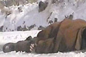 Tam 41 kişi donarak öldü...